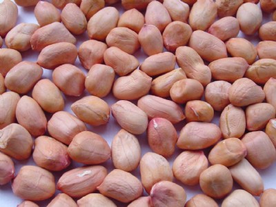 �p�ͷ��D(zhu��n)������