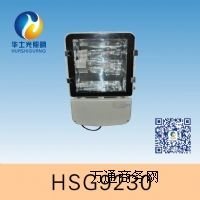 HSG9230 / NTC9230 ��Ч�й���Ͷ���