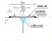 �˲�sr��Ԫ�ұ����B�wƬ�S��ֱ�N