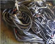 ��կ��bw����ӾWֹˮ�l