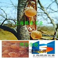 �M��ʳƷ���������z