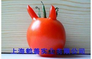 ʳƷ���������¹��������