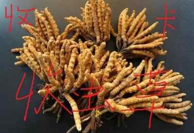 ���_�R���h���ն��x�Ĳݙ�(qu��n)�����w��