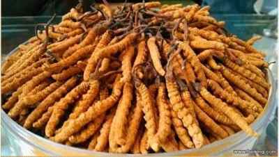 ���_(t��i)������ُ(g��u)���x(ch��ng)�Ĳ� ��������ͬ���õ��x(ch��ng)�� ���