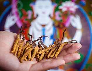 �����Ѕ^(q��)������ն��x(ch��ng)�Ĳݡ���䓸����x(ch��ng)�ݻ���