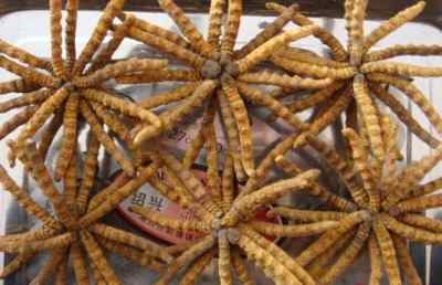 �������_�߃r���T���ն��x�Ĳ� �lù ����x��