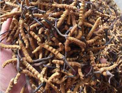 ���_�οh�՟��Ƶ������� ���Շ���ɶ�r�� �l��ُ�￨