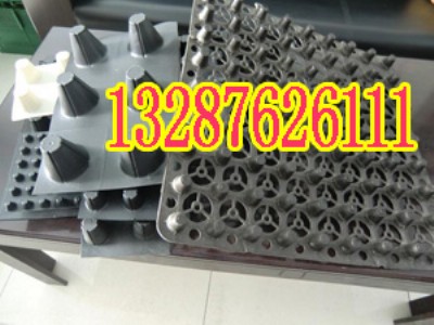 ���T�{��픻��@��ˮ�塾�˹������BĤ��