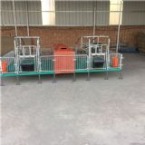 �i���p�wĸ�i�a�� ȫ�ͺ�ĸ�i�a�� ĸ�i���䴲