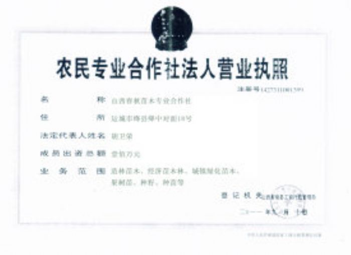 ɽ��������ľ���I(y��)������