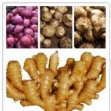 �A�����I����ë݁��ϴ�C�����^ȥƤ�C