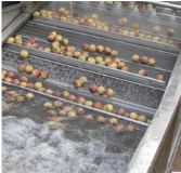 �̓rֱ�N�ʹ���ϴ�C