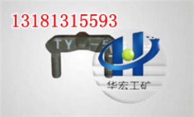 TY-5E�Ϳ�������(qi��ng)��˨��ע���a(ch��n)10��