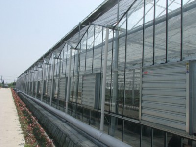 �S��ֱ�N(xi��o)����ܣ����w��B�������������������