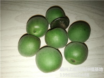 ���r��÷2018����(y��ng)������÷�������l(f��)