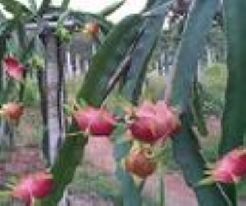 ������һ̖�������� õ��t8̖�������� ���ּtˮ�����۹���