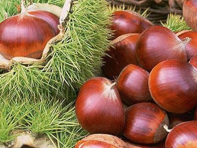 �����Ϸ������� ������ �ɏV�����N�� �߮a������ ��ݮ����