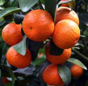 ����(y��ng)ɳ�ǽ����� ����� ����� �۽��� ������ �ᗗ��N��