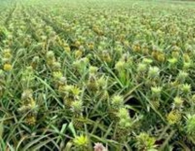 ����(y��ng)�ز��}�� ���}�� �P���� �ز��} ���} ���}�� ���}�N��