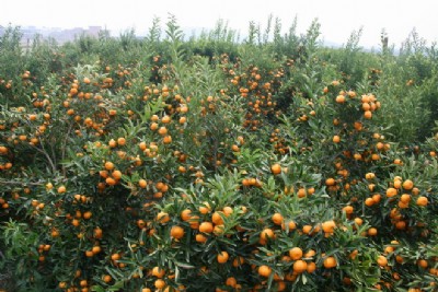 ����ï�ȸ��� ï�ȸ� �o������ �_�Ĺ��� �të����