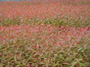 ����������������1̖�� 5̖���S���� ����� ��������D