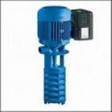 �N�۵�BRINKMANN������