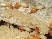 �������ṩ����ه�İ�ρ���Σ��B�T��ρ���Ά�λ