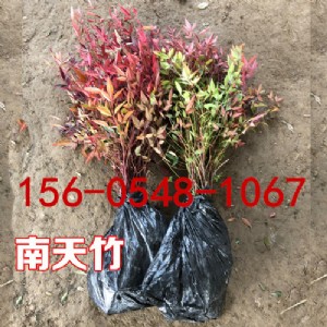 ɽ�|������ɽ��ڷ�20����30����40����Ҏ(gu��)���Rȫ