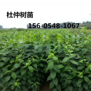 ֱ�N3����-4����-5����6-���ֶ�����r��