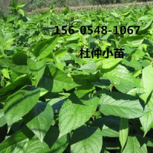 ���l(f��)2���֡�3���֡�4����5���ֶ���������Xһ��