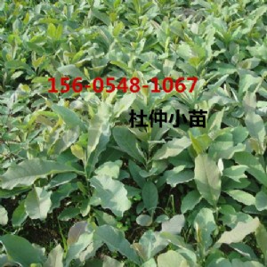 ɽ�|6���ֶ�����r��-4���֡�5���ֶ��٘������