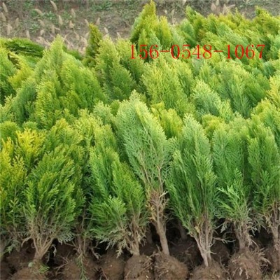 ����1.2��-1.5�ׂȰ؎����l؛-2�ׂȰء�3�ׂȰ؈�