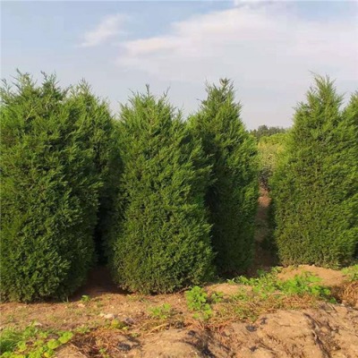 ����1�ס�2����~��2����~�����l؛��3����~��r