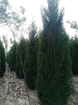 �������1����~2��2.5����~- 3����~����-3.