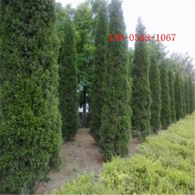 ����1����~�r��2����~�ɻ��ʸ�3����~�������l