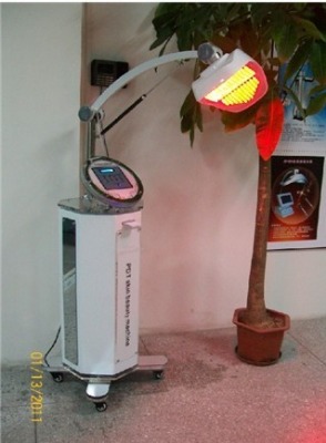 ������t�{�S���V�ί��x�S��