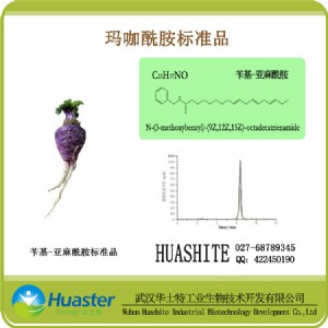 n-�S���ؙ����� n-�S��ʮ�������� ��(bi��o)��(zh��n)Ʒ