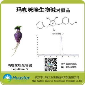 ����������Գɷֺ����z�y(c��) ������������Ad ��(bi��o)��(zh��n)Ʒ