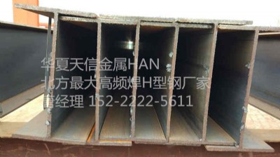 ɽ�|���l����h��䓏S��