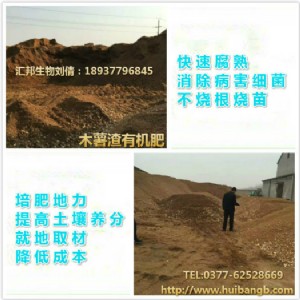 ɽ�|ľ�����l�̈́� ľ��������������|