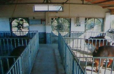 �i���u��ͨ�L�����O�������L�Cˮ������