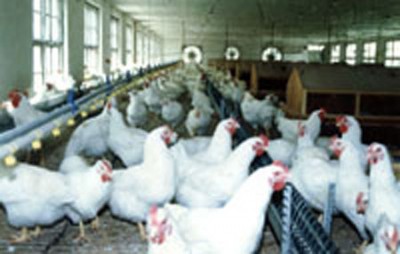 �����Bֳ��������ͨ�L����ؓ���L�C��