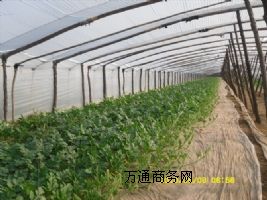 ����ُ�N�\�Ş鱾