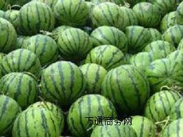 �����������ϻ���