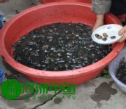 ���l�������B���~��r��