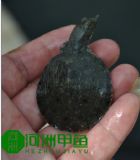 ���B���~���B���~�����l