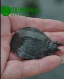 �������B���~��