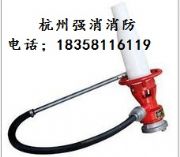 �����ݏ�������������ʽ��ĭ��������� �S��ֱ�N