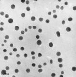 �{�׵�����-���ᶡ����ɢҺ