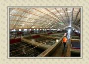 ���������Bֳ���ﱣ�ذ�ӟ��(�D)